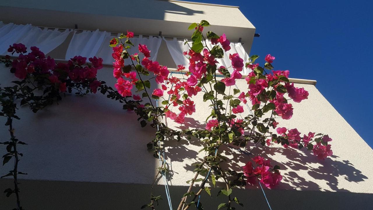 Mina Apartments Okrug Gornji Luaran gambar